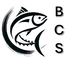 Blackfin Cloud Government